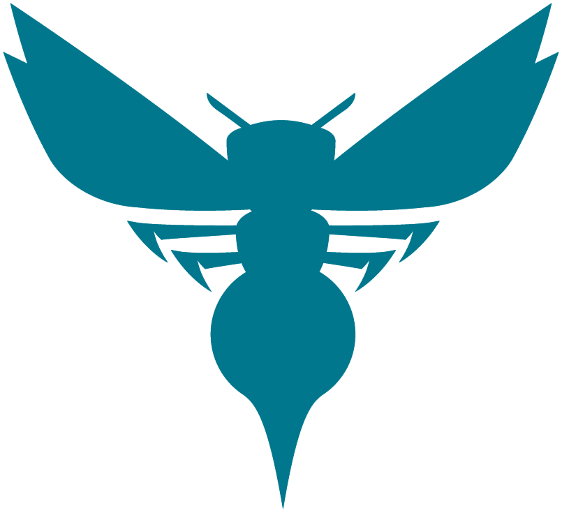 Charlotte Hornets 2014-Pres Alternate Logo v3 DIY iron on transfer (heat transfer)